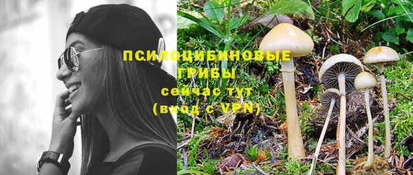 mdpv Бронницы