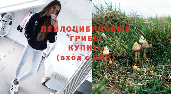 кокаин Бородино